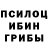 Галлюциногенные грибы мицелий lilly hasund