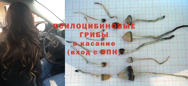 бошки Балахна