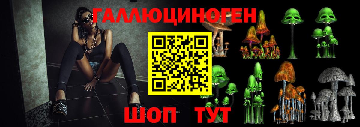 Губкинский  Галлюциногенные грибы Psilocybe  Вход с VPN 